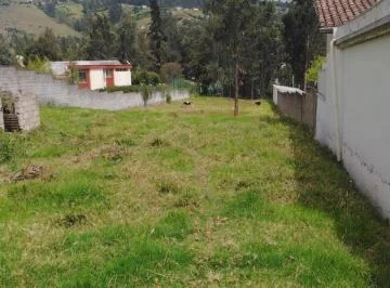 Venta Terreno Plano Sector Centro La Merced — imagen 3