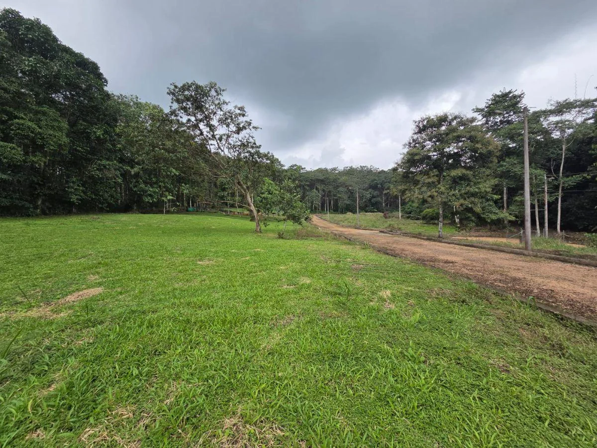 9 Lotes de Terreno de Venta en Pedro Vicente Maldonado — imagen 3
