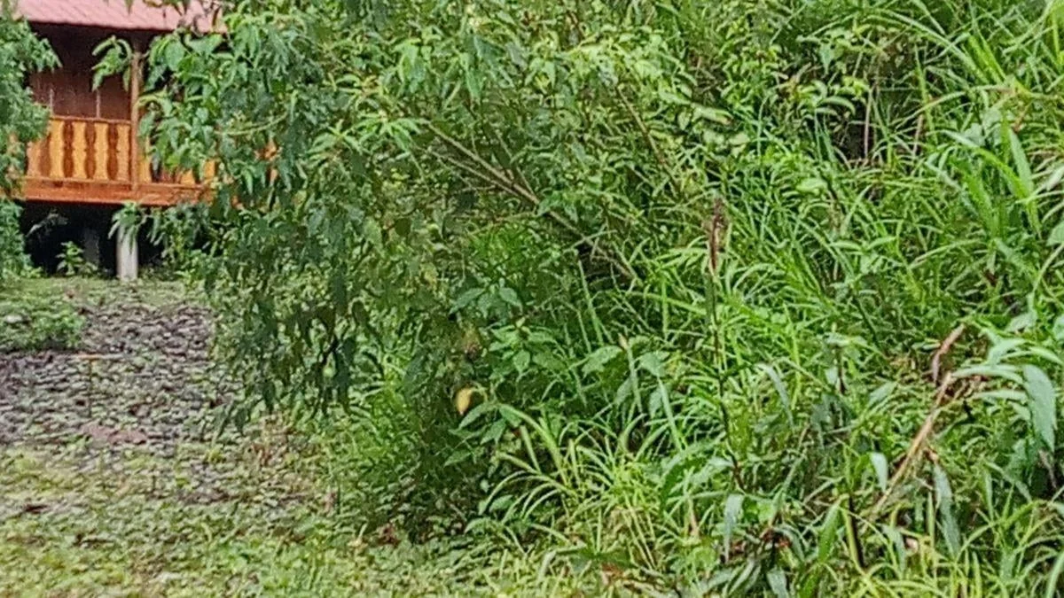 Se Vende Terreno Comercial Puyo Pastaza, Pastaza — imagen 4