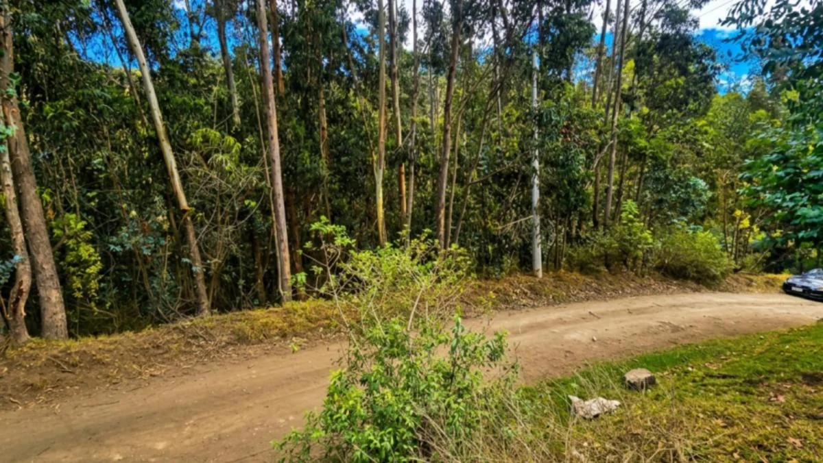 Amplio Lote de Terreno Cerca de Cevallos, Tungurahua — imagen 5