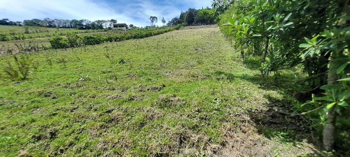 Terreno en Venta de 2,198.54 m² El Condado — imagen 4