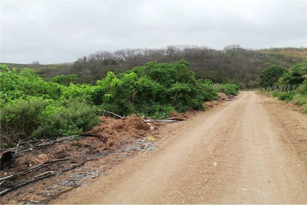 Terreno Agrícola Urbano de Venta Charapoto Manabí, Manabí — imagen 3