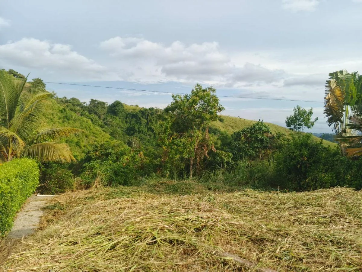 Terreno de Venta en Same, Atacames — imagen 3