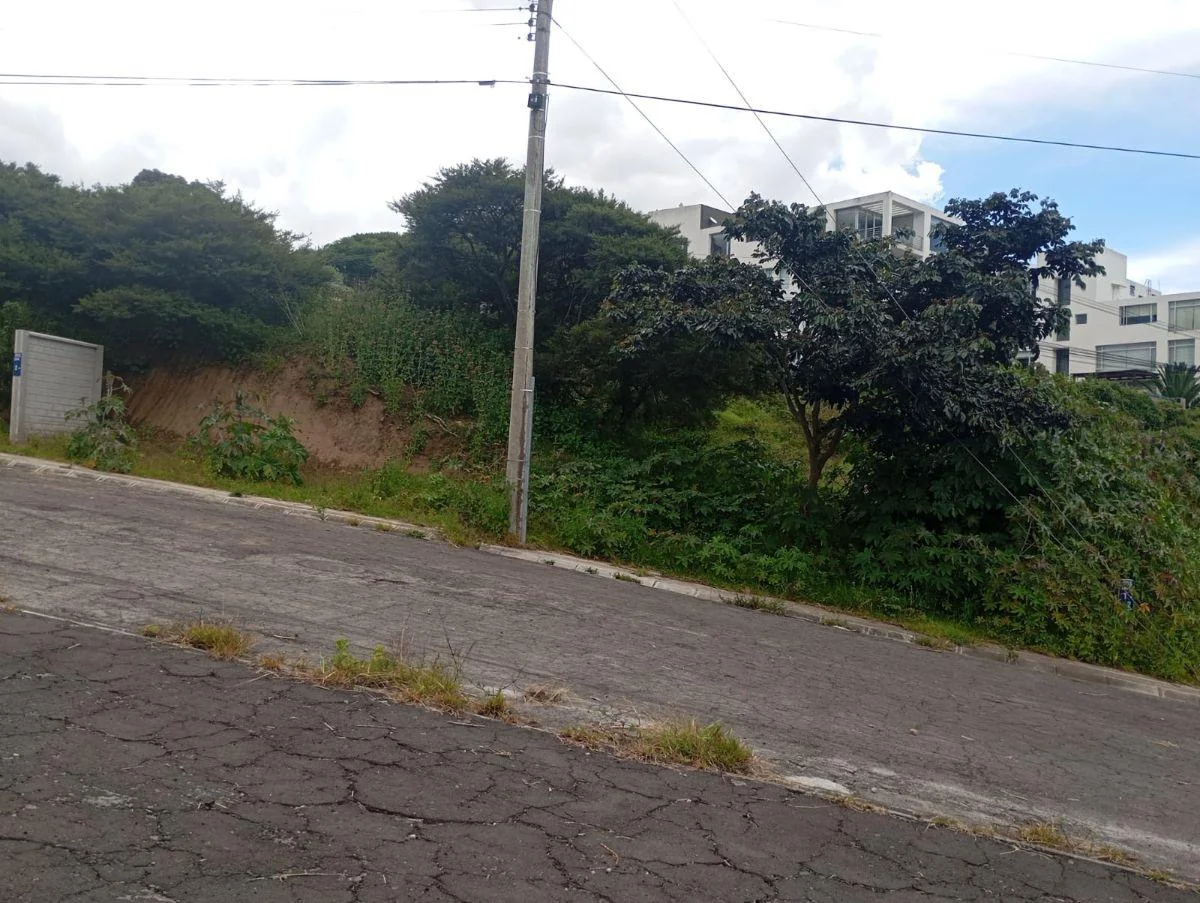 Terreno de 515 m² en Venta en Cumbayá con Áreas Verdes — imagen 5