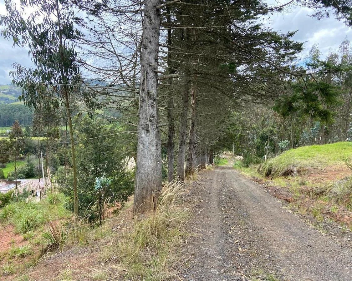 Terreno en Venta, Sector Tarqui, Azuay — imagen 4