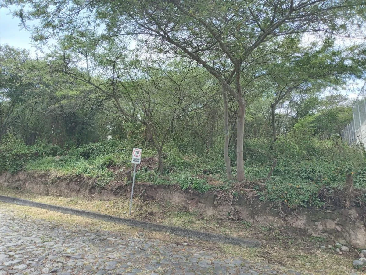 Terrenvive en La Viña Alta – Terreno Residencial en Urbanización Privada | Tumbacoo — imagen 5