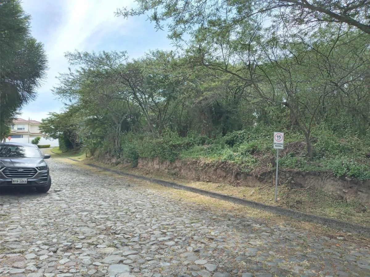 Terrenvive en La Viña Alta – Terreno Residencial en Urbanización Privada | Tumbacoo — imagen 4