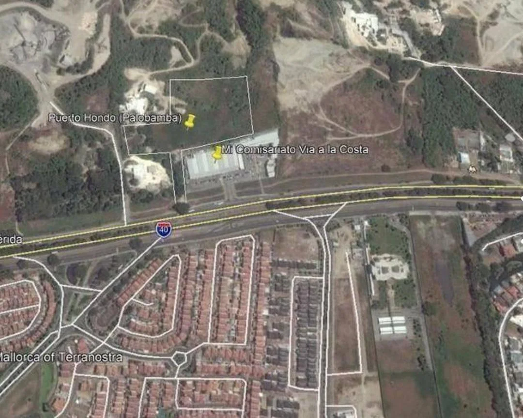 Macrolote en Venta - El Terreno Que Solo un Visionario Sabrá Aprovechar!, Guayas — imagen 4