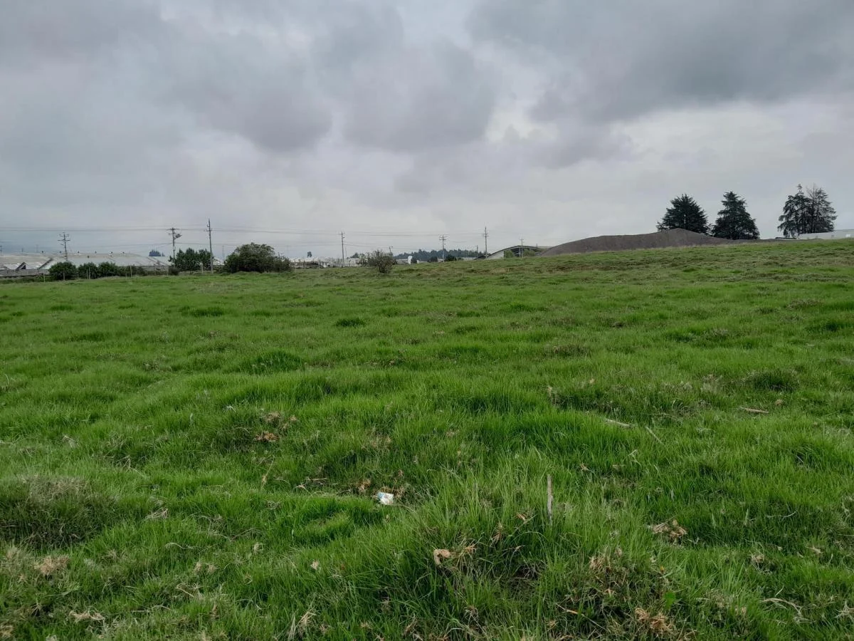 Terreno Industrial en Venta en La Zona Industrial de Turubamba. 3 Has. Provincia de Pichincha — imagen 4