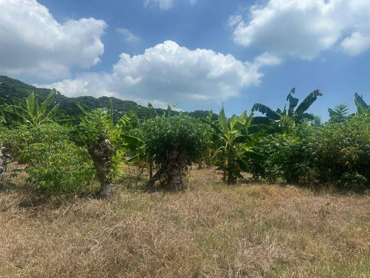 Terreno de Venta en Tonsupa — imagen 3