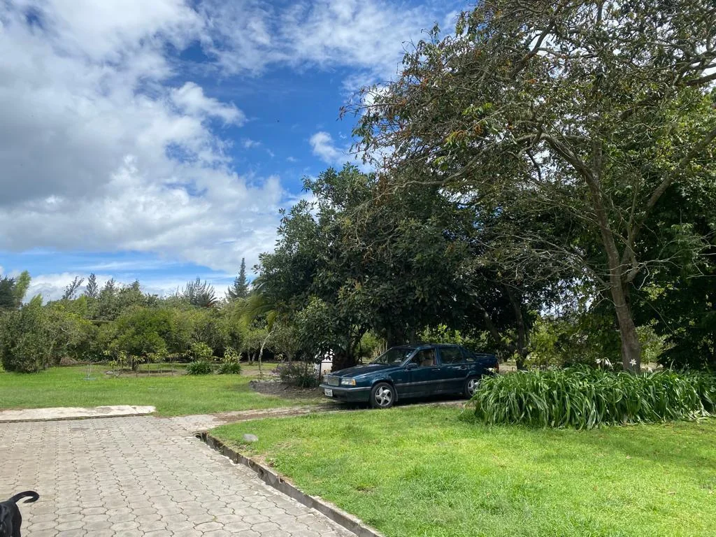 Terreno de Venta en Puembo Sector La Palma — imagen 5