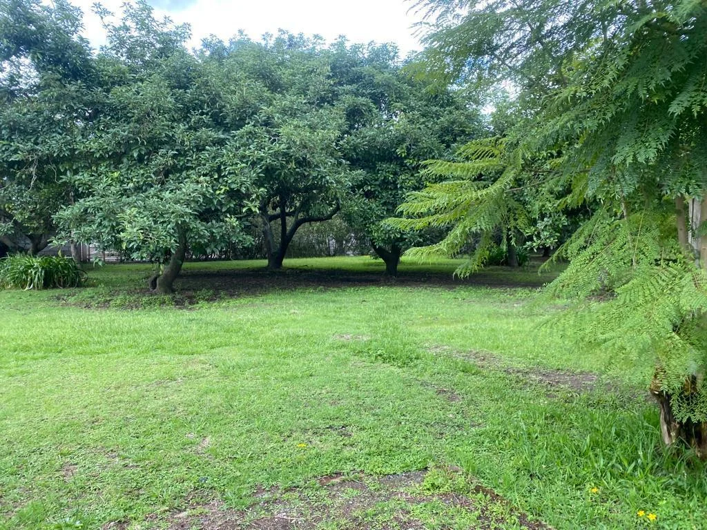 Terreno de Venta en Puembo Sector La Palma — imagen 4