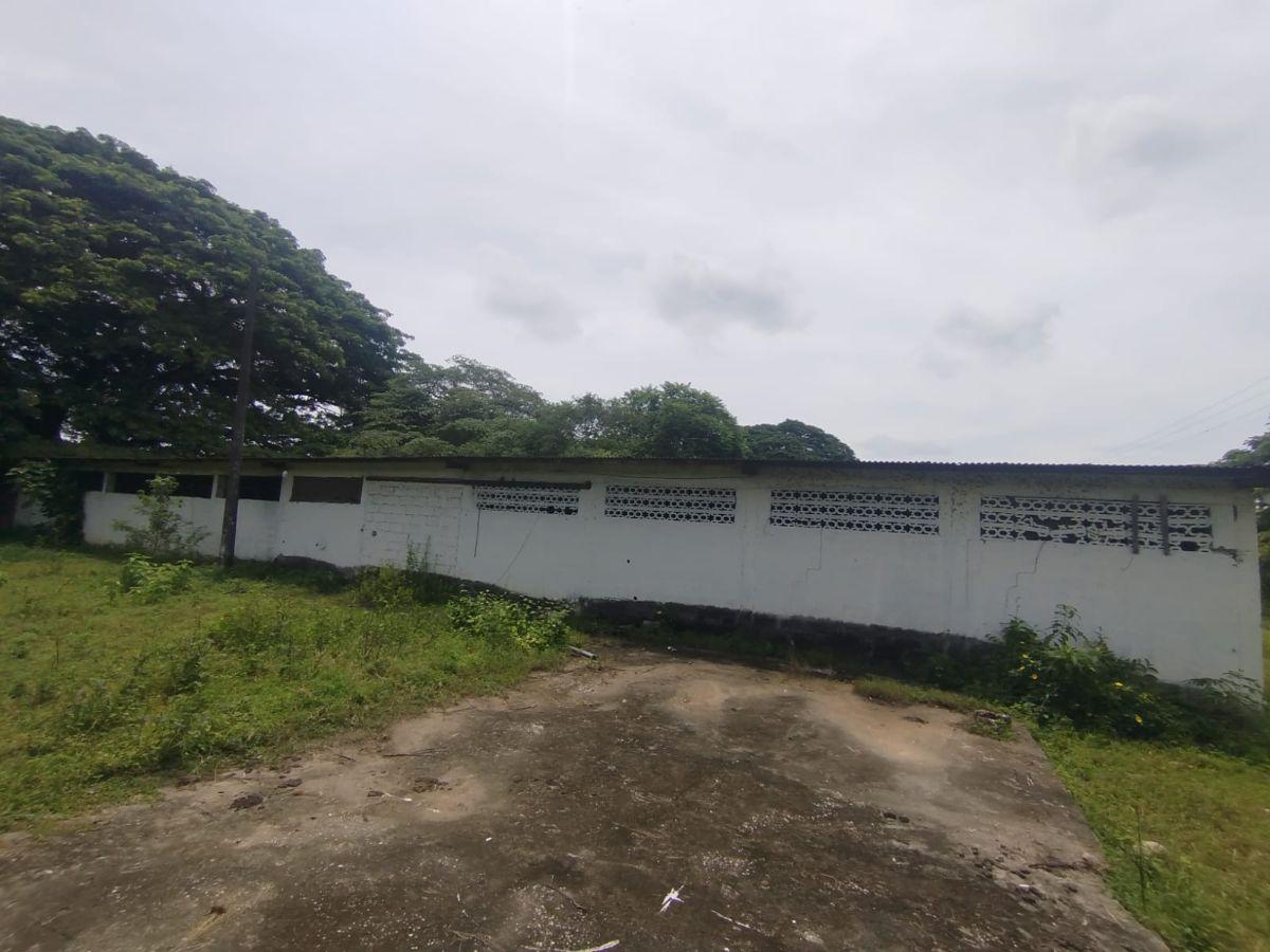 Terreno de 85143 m² en Alquiler en Vía a La Costa, Guayas — imagen 4
