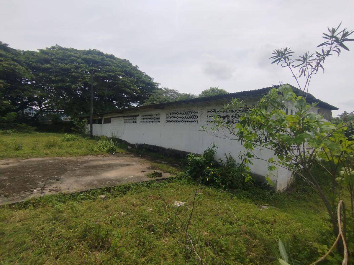 Terreno de 85143 m² en Alquiler en Vía a La Costa, Guayas — imagen 3