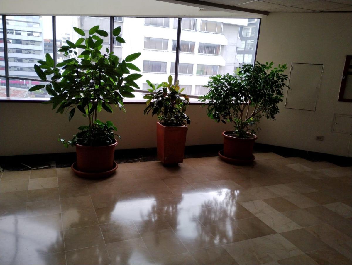 Oficina de Venta en La Mariscal. Edif Corporativo. 80 m² — imagen 3
