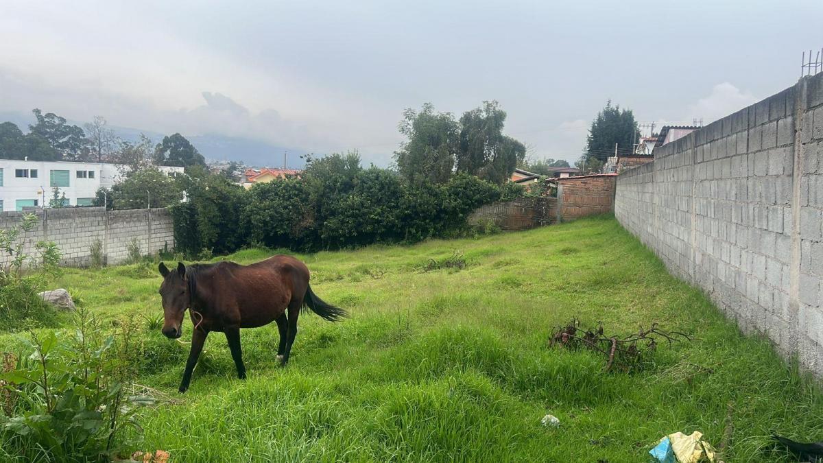 Terreno en Venta, Sangolquí — imagen 5