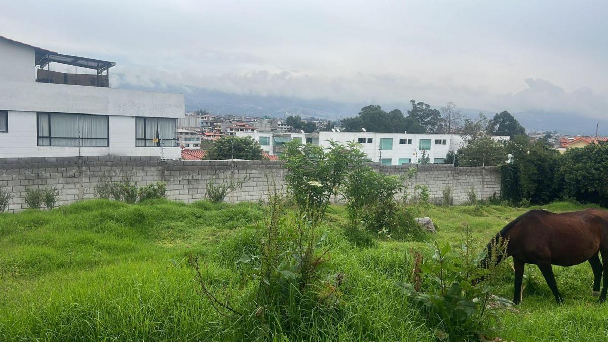 Terreno en Venta, Sangolquí — imagen 4