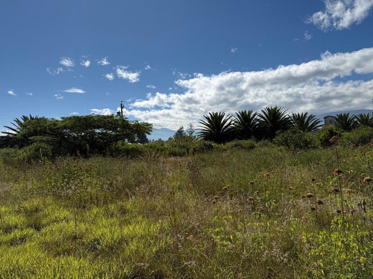 Terreno en Venta - Puembo, Sector Arrayanes — imagen 7