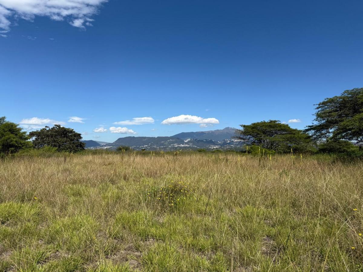 Terreno en Venta - Puembo, Sector Arrayanes — imagen 6