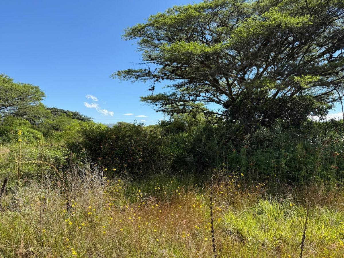Terreno en Venta - Puembo, Sector Arrayanes — imagen 5