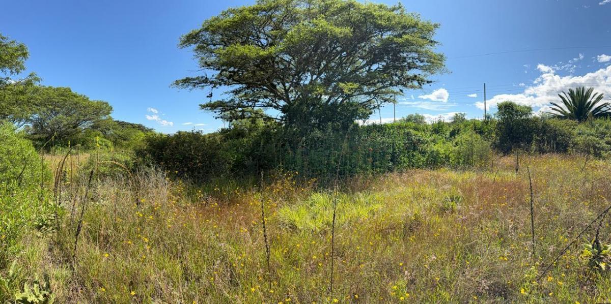Terreno en Venta - Puembo, Sector Arrayanes — imagen 4