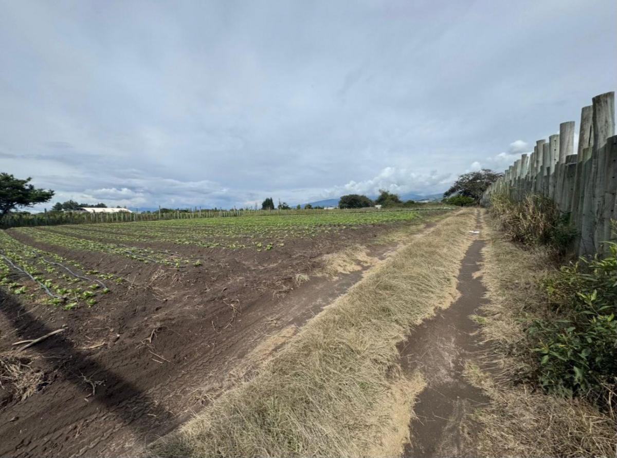 Terreno Plano en Tababela, Sector El Guambi — imagen 5