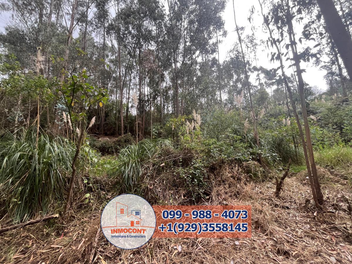 Terreno Plano de Venta en Zona Vacacional Para Proyecto Turístico, Inmobiliario o Inversión, Azuay — imagen 4