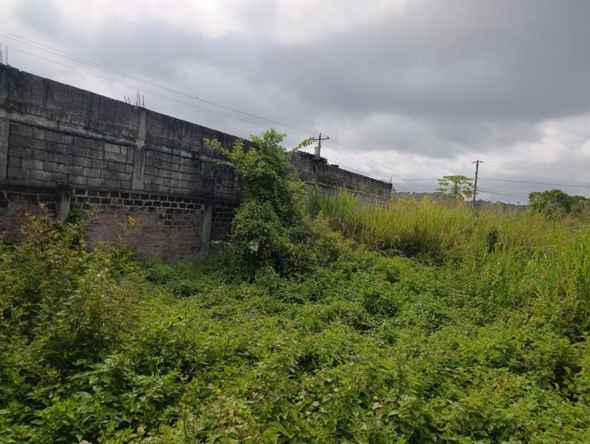 Terreno de Venta en Tonsupa, Atacames — imagen 5