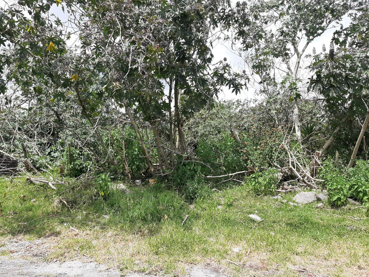 Quinche Terreno Plano 40.000 m² con Abundante Agua Vendo — imagen 5