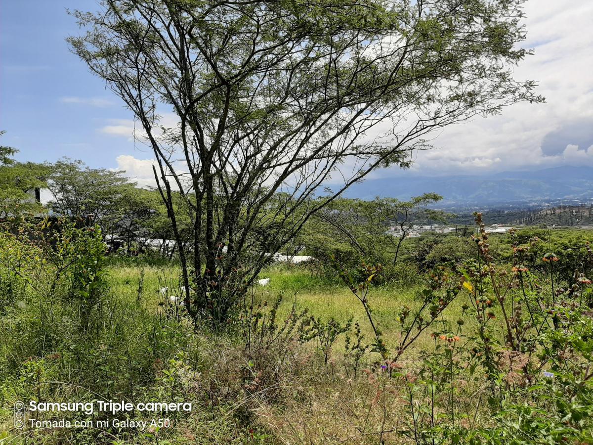 Quinche Terreno Plano 40.000 m² con Abundante Agua Vendo — imagen 4