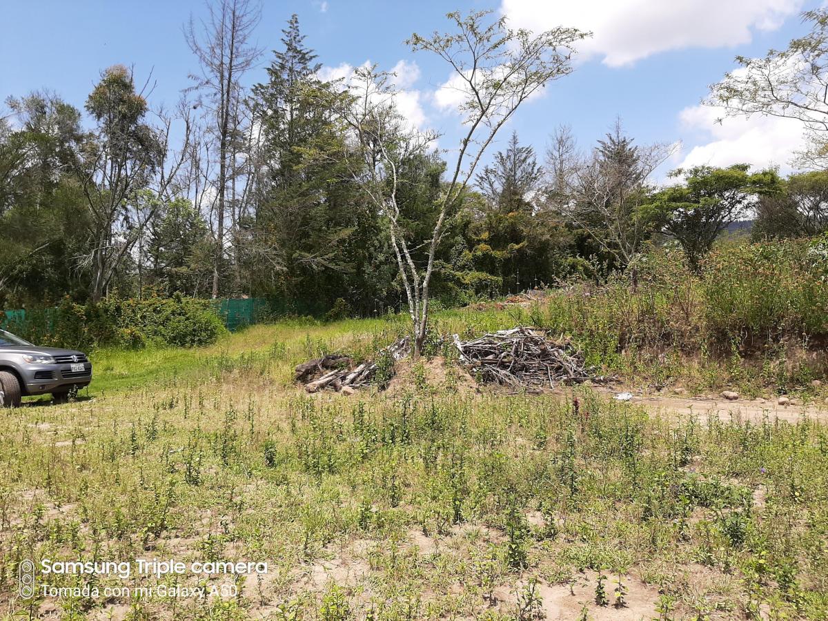 Quinche Terreno Plano 40.000 m² con Abundante Agua Vendo — imagen 3