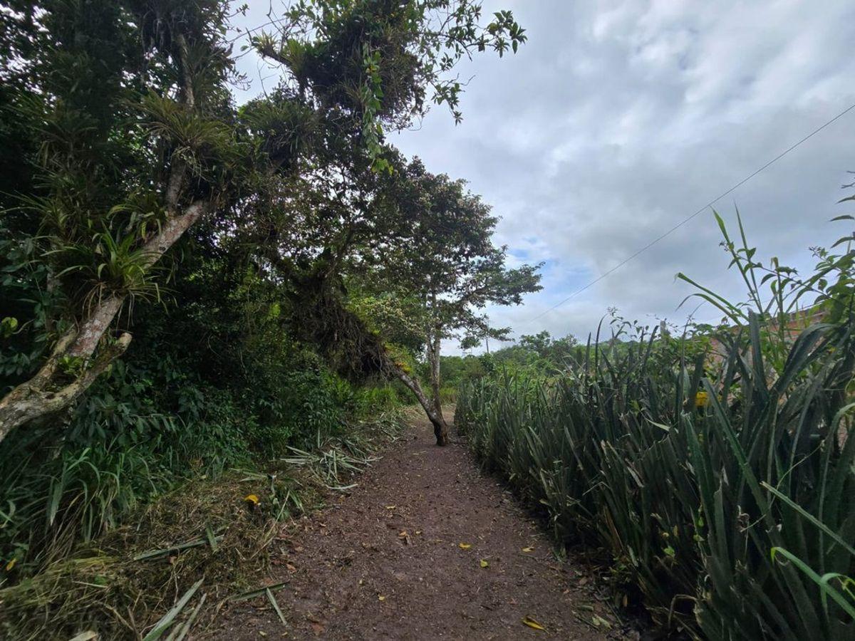 Terreno de Venta en Manta Zona Sur Pacoche, Manabí — imagen 5
