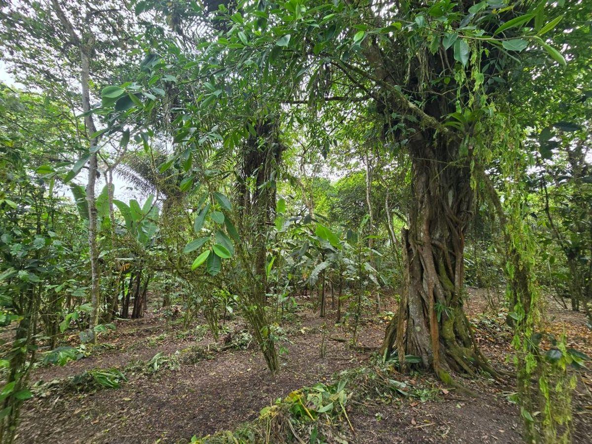 Terreno de Venta en Manta Zona Sur Pacoche, Manabí — imagen 4