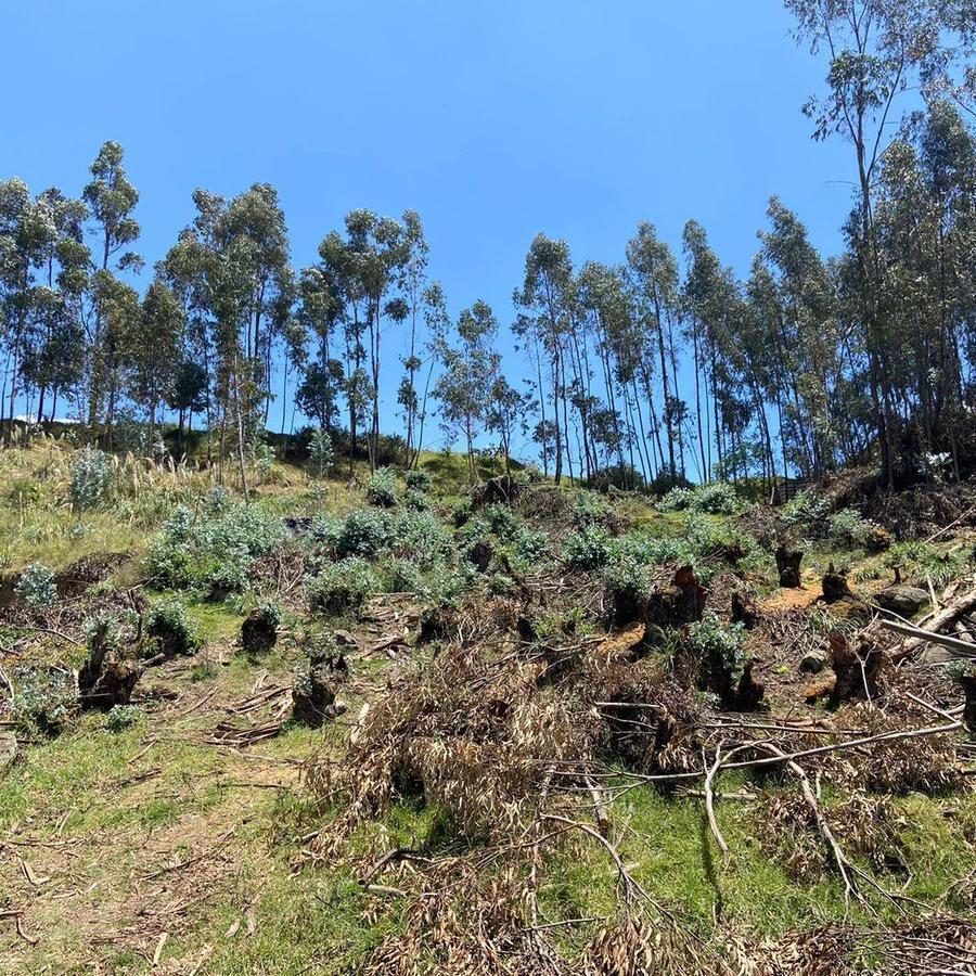 Hermoso Terreno en Venta, Sector Paseo del Tejar, Azuay — imagen 3