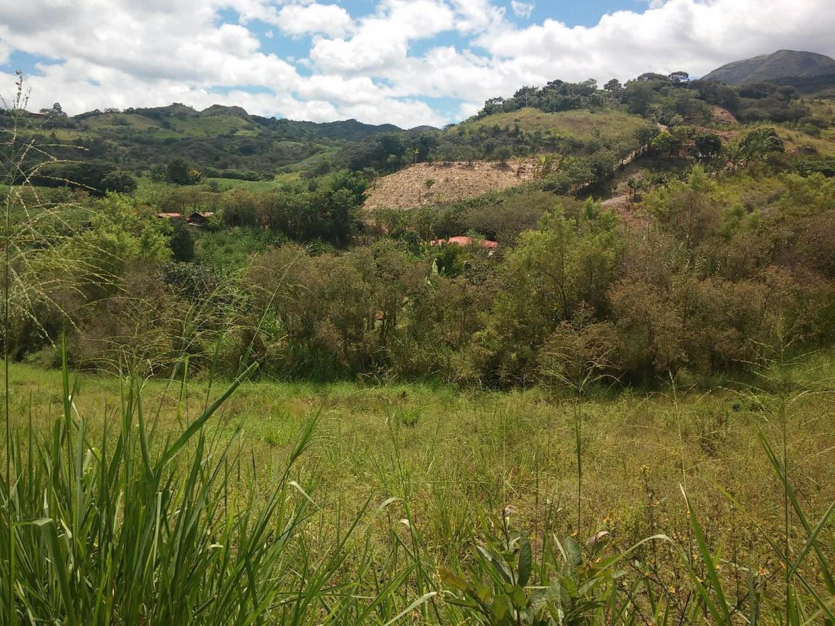 Venta. Terreno de 3,7 Hectáreas Ubicado en La Granja, Malacatos, Loja — imagen 3