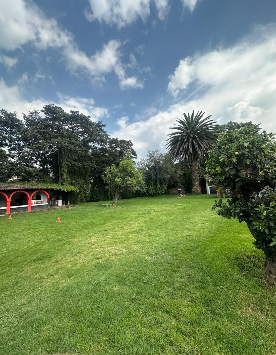 Se Vende Terreno Ideal Para Proyecto Inmobiliario – Tumbaco, La Morita — imagen 4