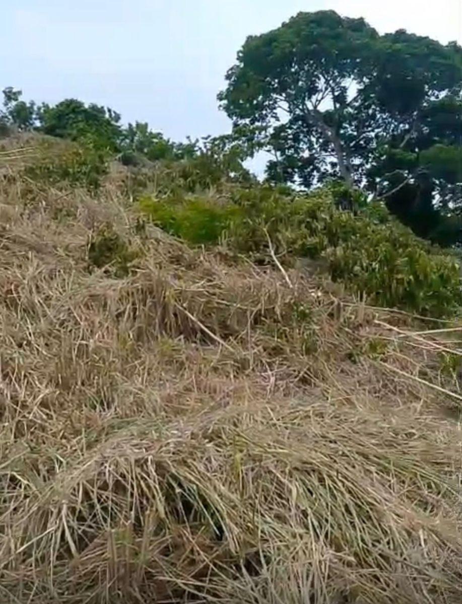 Terreno de Venta en Same — imagen 3