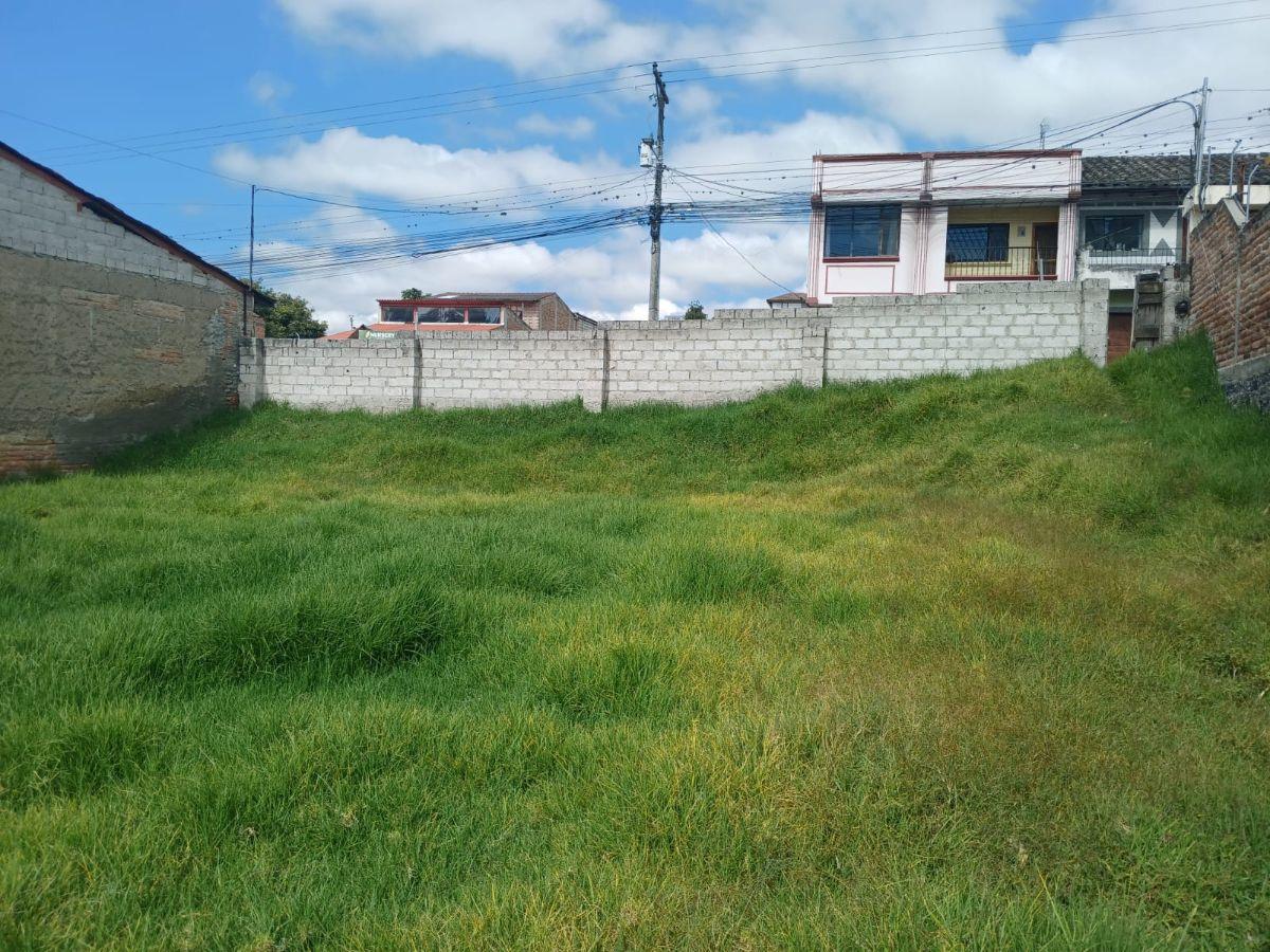 Vendo Terreno en Cotacachi, Calle 10 de Agosto. Imbabura — imagen 5