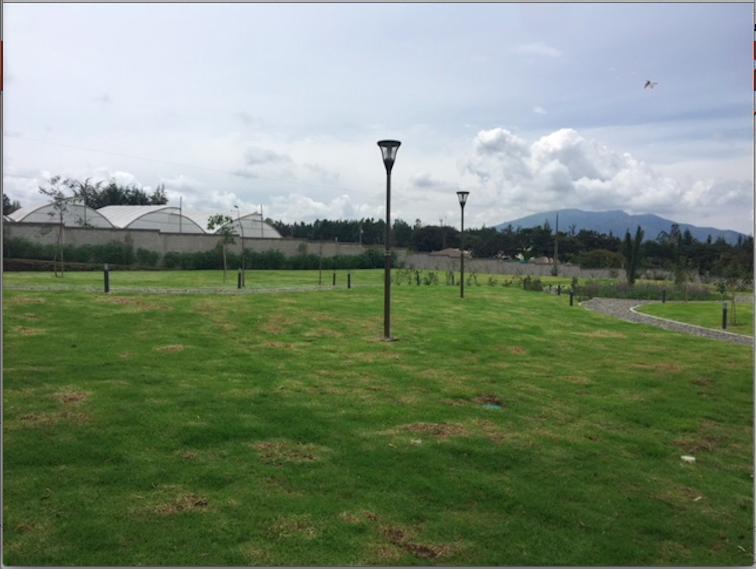 Puembo Terrenos de Venta en Urbanizacion Privada — imagen 3