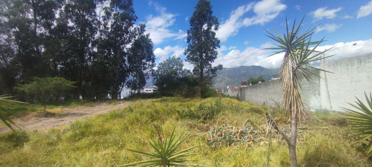 Terreno Plano de 1.055 m² Se Vende Yanazarapata San Juan de Cumbayá. Ideal Proyecto de Vivienda. Provincia de Pichincha — imagen 3