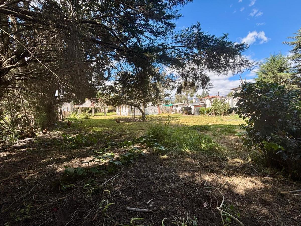 Terreno - Plano de Venta en Tumbaco — imagen 4
