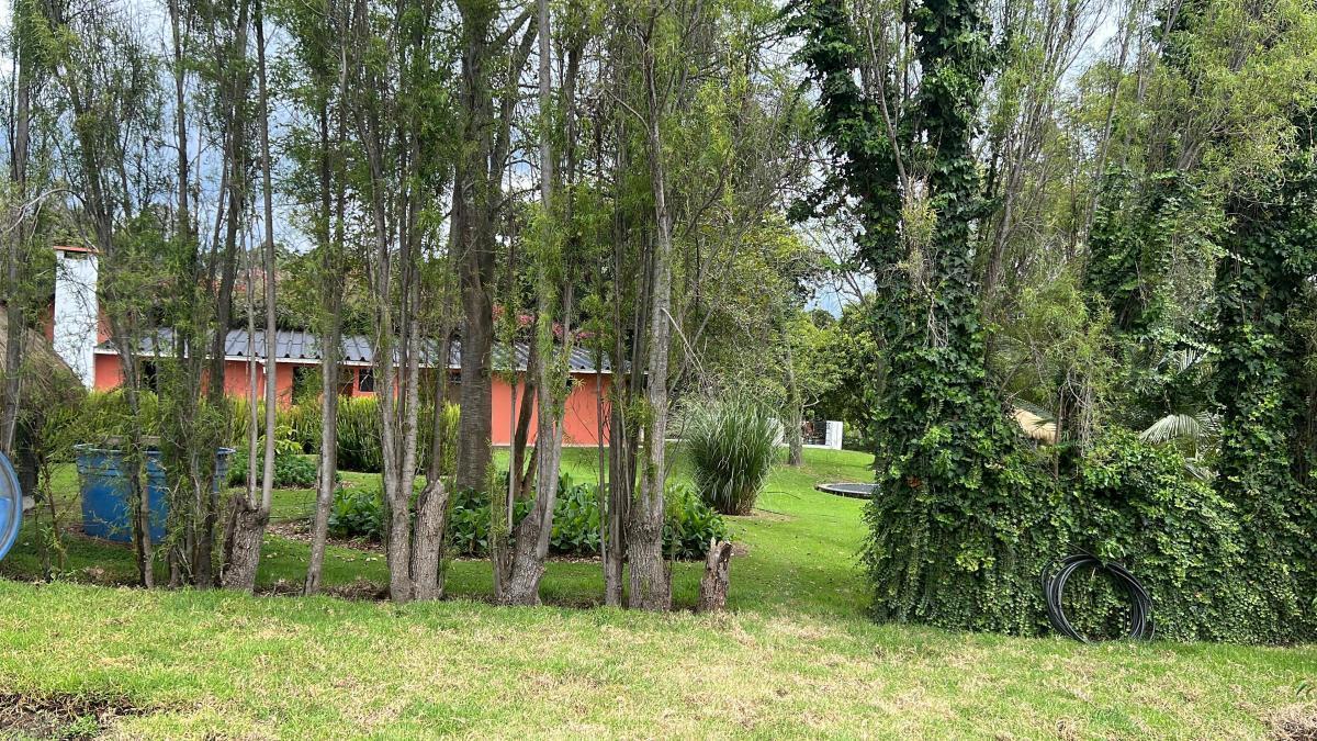 Checa Terrenos de Venta en Urbanizacion Privada — imagen 3