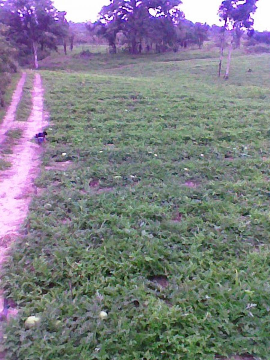 Terreno de Venta en Manta El Aromo, Manabí — imagen 4