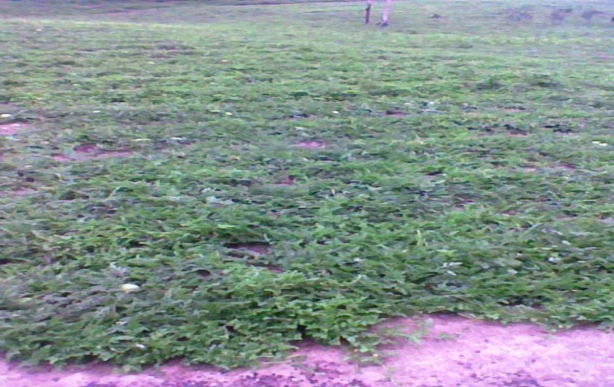 Terreno de Venta en Manta El Aromo, Manabí — imagen 3