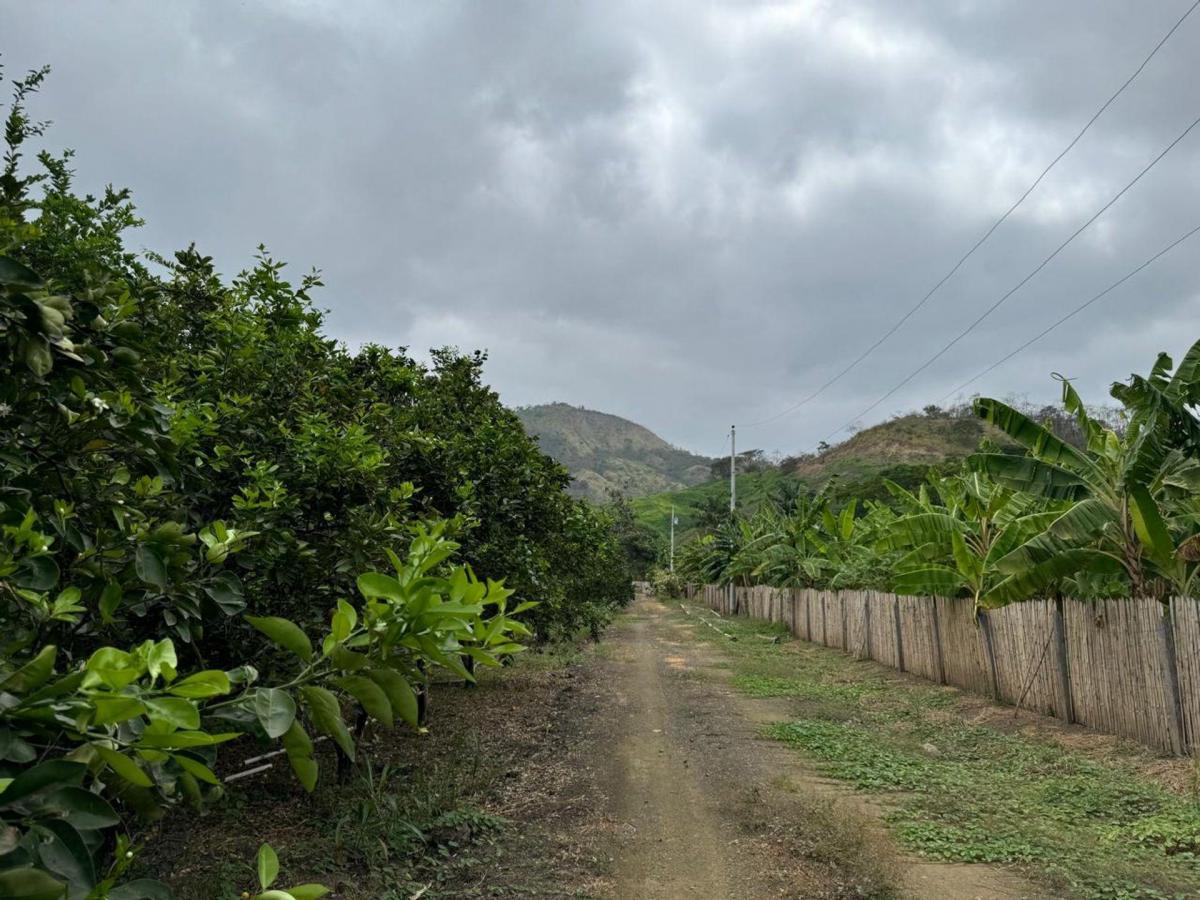 Finca de Venta Via Portoviejo Santa Ana F/a, Manabí — imagen 3
