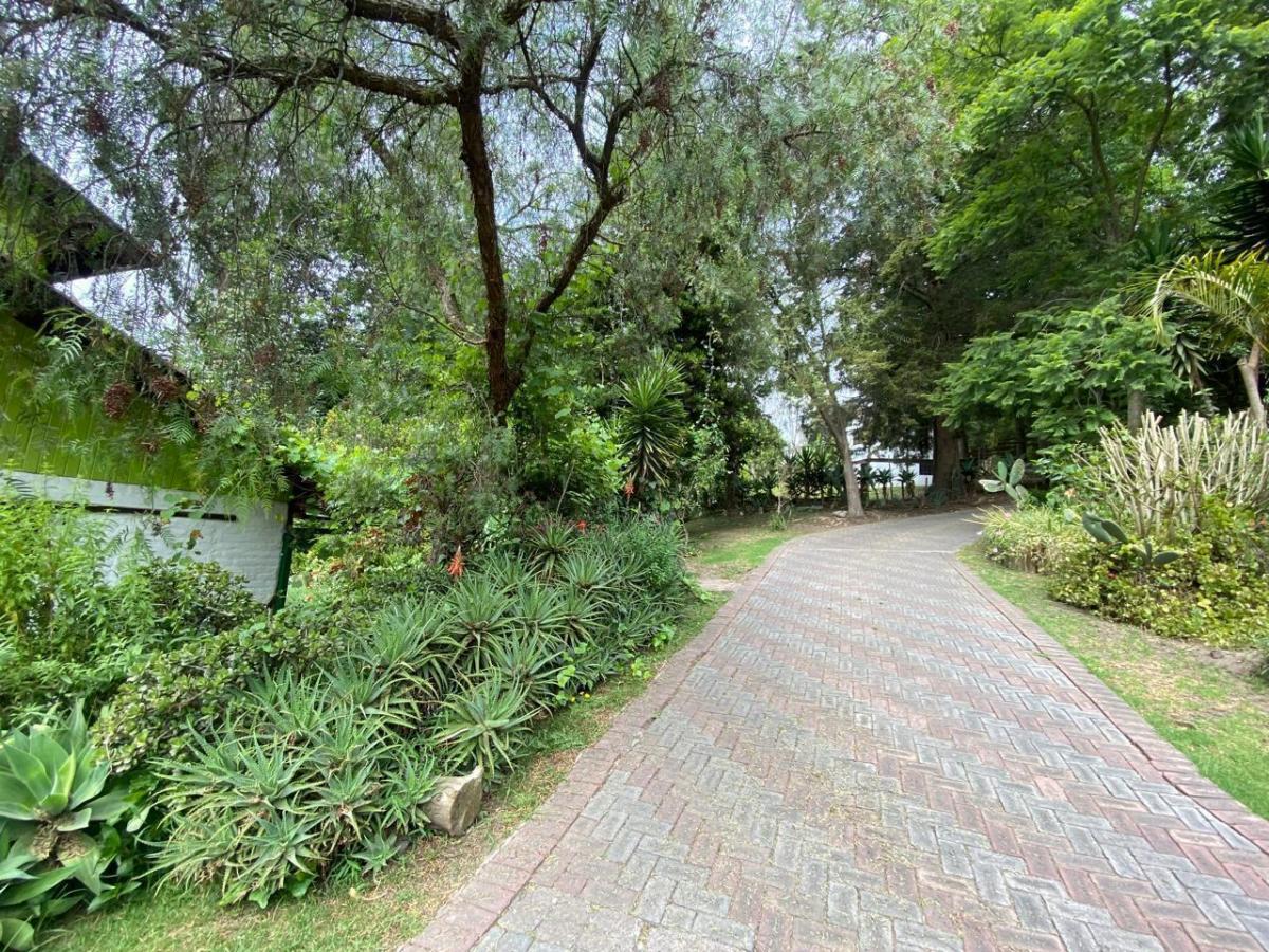Venta Terreno Sector San Juan de Cumbayá — imagen 4