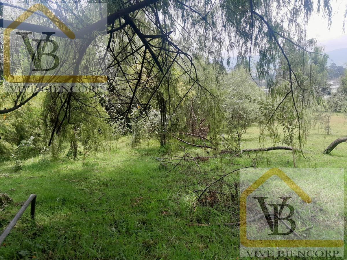 Terreno en Venta en El Valle de Los Chillos 4500 m. Provincia de Pichincha — imagen 5