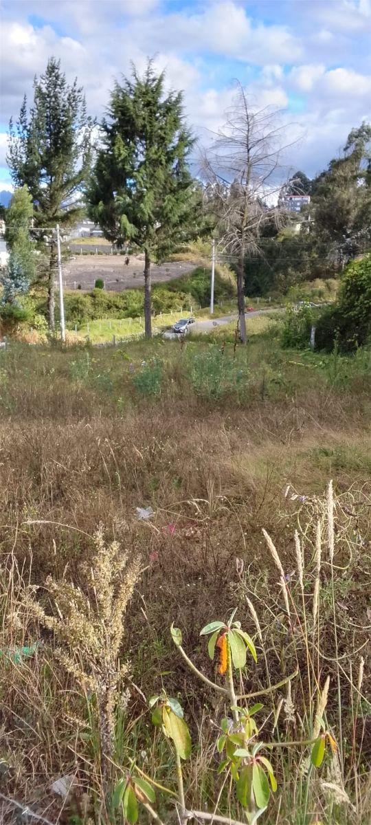 Terreno en Venta – Puente 5, Autopista General Rumiñahui — imagen 5