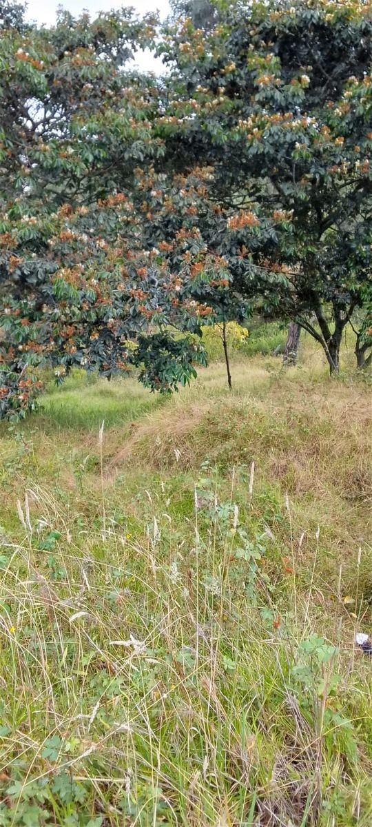 Terreno en Venta – Puente 5, Autopista General Rumiñahui — imagen 4