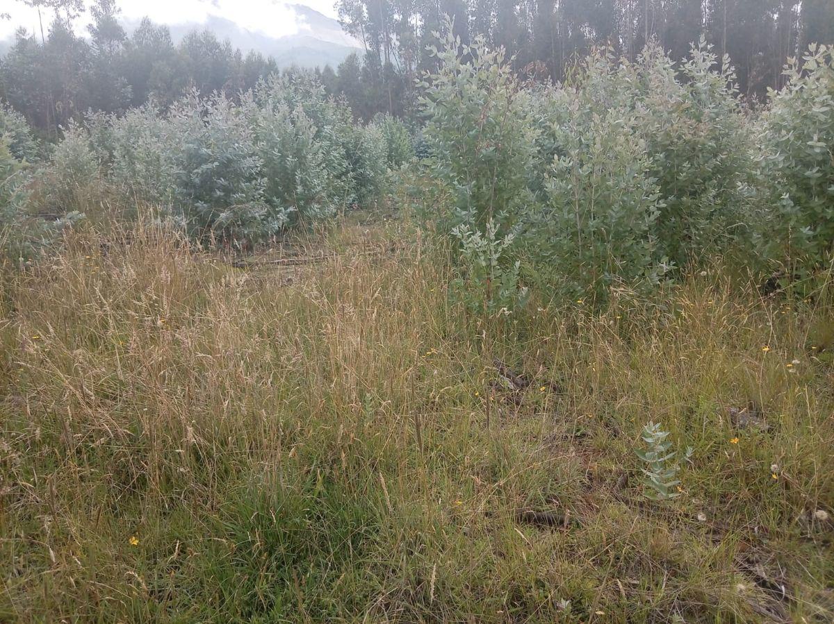 Terreno Esquinero de Venta Otavalo, Parroquia San Pablo, Imbabura — imagen 5